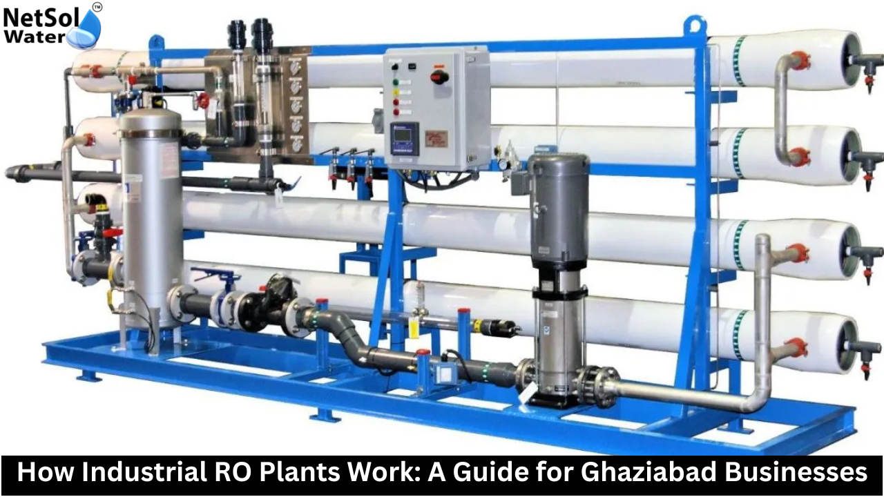Industrial RO Water Plant